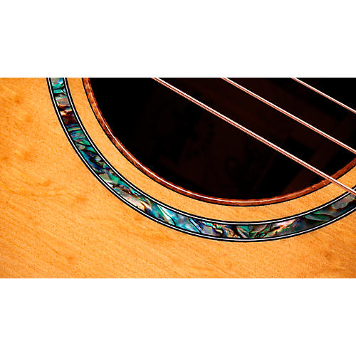 Taylor Custom Bearclaw Sitka Spruce-Bocote Grand Auditorium Acoustic-Electric Guitar Shaded Edge Burst - musicians--Friend