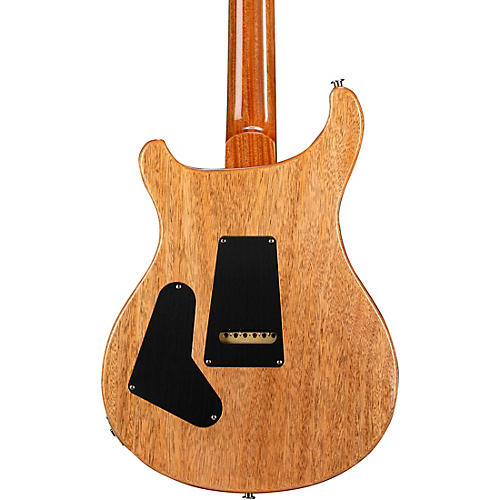 PRS 40th Anniversary Custom 24 Limited Edition Tiger Eye - musicians--Friend