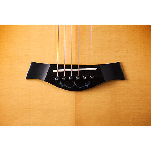 Taylor PS14c Brazilian Rosewood 50th Anniversary Limited-Edition Grand Auditorium Acoustic-Electric Guitar with matching Circa 74 Amp Honey Sunburst - musicians--Friend