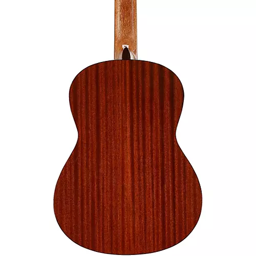 Alvarez AC65 Nylon-String Classical Acoustic Guitar - musicians--Friend