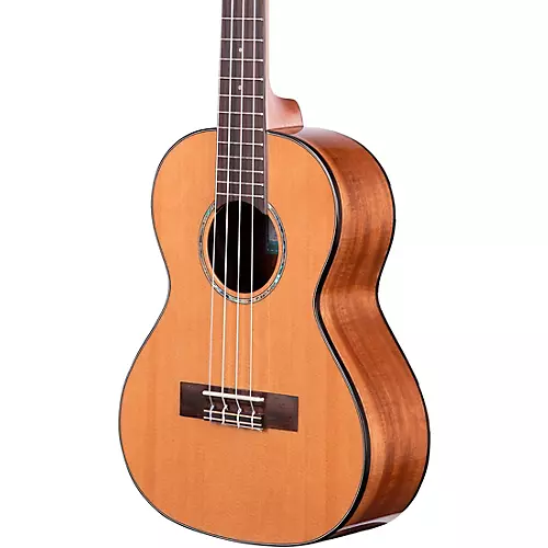 Kala KA-SCAC-T Tenor Ukulele - musicians--Friend