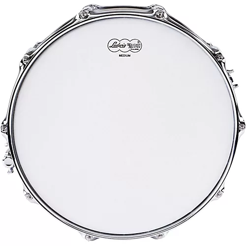 Ludwig Black Beauty Snare Drum 6.5x14 - musicians--Friend