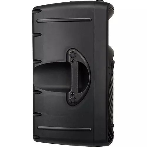Mackie C300z Passive Speaker (Black) - musicians--Friend