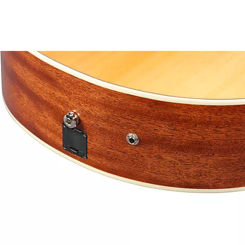 Ibanez PA Series Fingerstyle Acoustic Electric Guitar Natural Satin - musicians--Friend