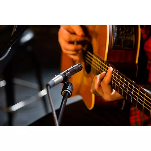 Electro-Voice ND66 Cardioid Condenser Instrument Microphone - musicians--Friend