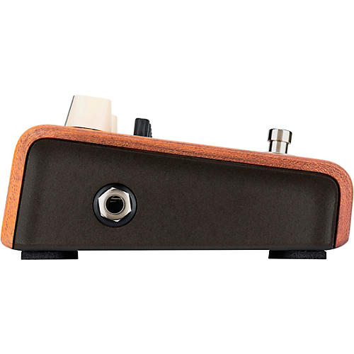 LR Baggs Align Acoustic Preamp/Equalizer Effects Pedal - musicians--Friend