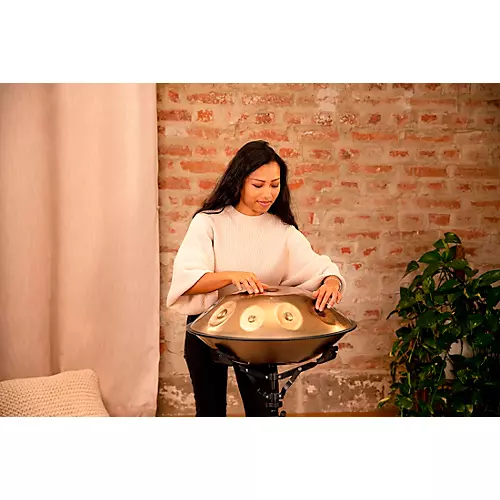 MEINL Sonic Energy D Kurd 10-Tone Sensory Handpan - musicians--Friend