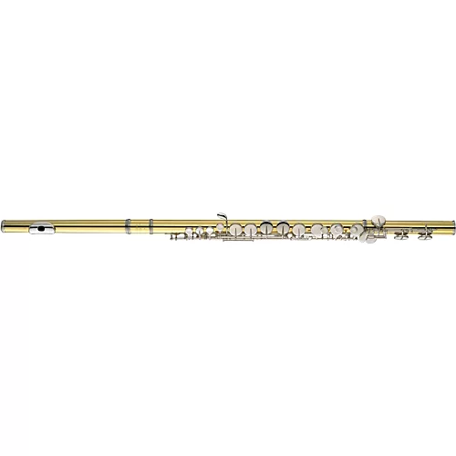 Yamaha YFL-A421 Professional Alto Flute YFL-A421BII with Straight and Curved Headjoints - musicians--Friend