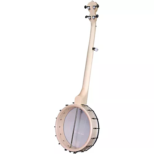 Deering Goodtime Nickel Banjo - musicians--Friend