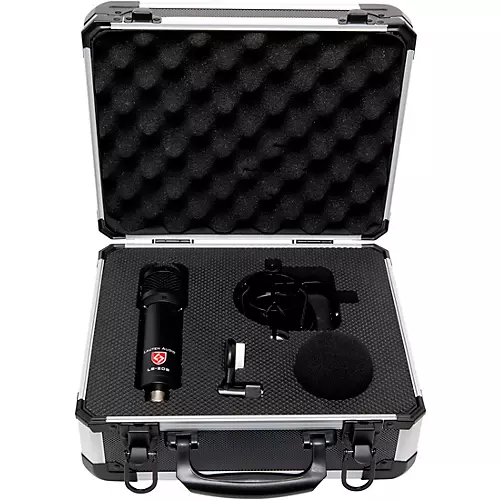 Lauten Audio LS-208 Front Address Large-diaphragm Condenser Microphone Black - musicians--Friend