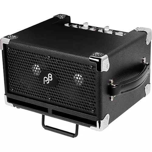 Phil Jones Bass BG-120B Bass Cub Pro 2x5 120W Combo Amp Black - musicians--Friend
