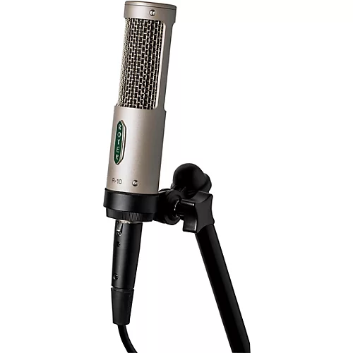 Royer R-10 Ribbon Microphone - musicians--Friend