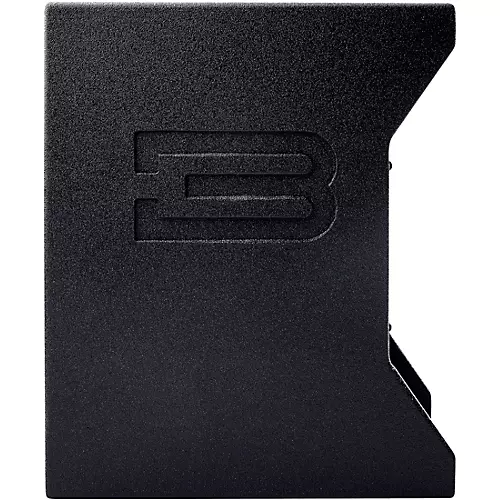 BASSBOSS SV9 Powered Monitor 9 in. - musicians--Friend