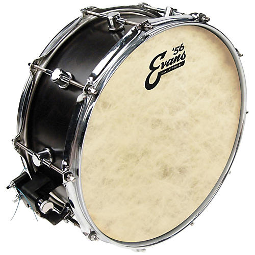 Evans Calftone Drum Head 8 in. - musicians--Friend