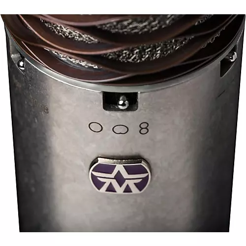 Aston Microphones Spirit Multi-Pattern Condenser Microphone - musicians--Friend