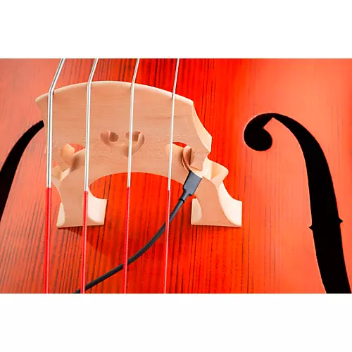 KNA DB-1 Double Bass Pickup - musicians--Friend