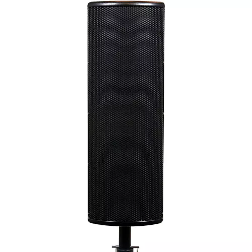 Galaxy Audio LA4D Powered Line Array - musicians--Friend
