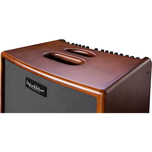 Hughes & Kettner Era 1 250W 1x8 Acoustic Combo Amp Black - musicians--Friend