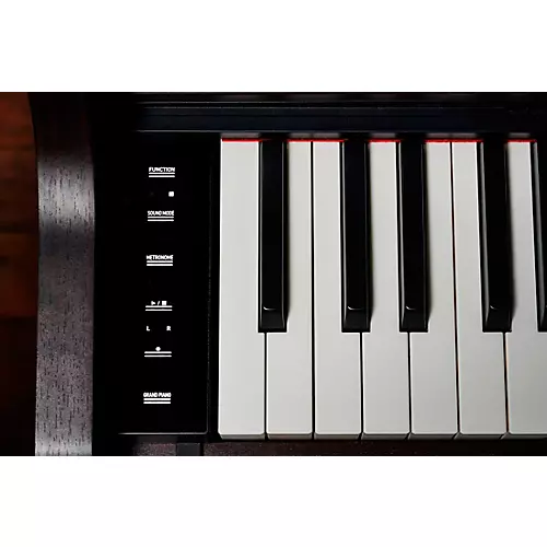 Casio AP-550BN Celviano Console Digital Piano Rosewood - musicians--Friend