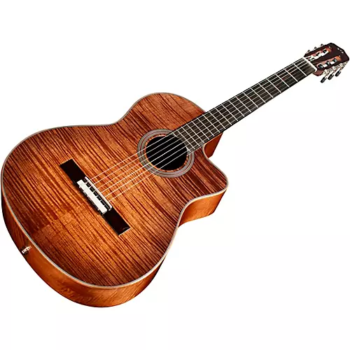 Cordoba Fusion 12 Exotic Top Nylon-String Classical Acoustic-Electric Guitar Cinnamon Burst - musicians--Friend