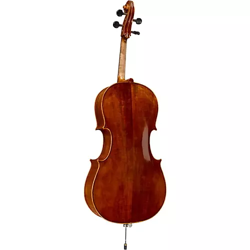 Ren Wei Shi Academy Series Cello Outfit 1/4 - musicians--Friend