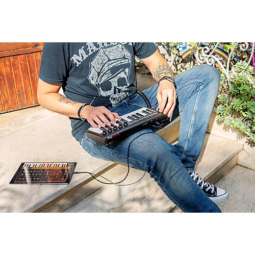 IK Multimedia iRig Keys 2 Mini - musicians--Friend