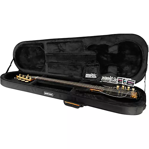Ernie Ball Music Man Stingray Special 5 HH Limited-Edition Rosewood Fingerboard Electric Bass Guitar Black - musicians--Friend