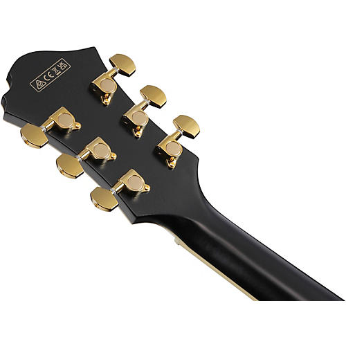 Ibanez Pat Metheny Signature Electric Guitar Natural Amber Low Gloss - musicians--Friend