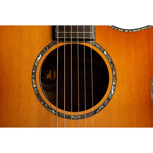 Taylor PS14ce LTD 50th Anniversary Walnut Grand Auditorium Acoustic-Electric Guitar Shaded Edge Burst - musicians--Friend