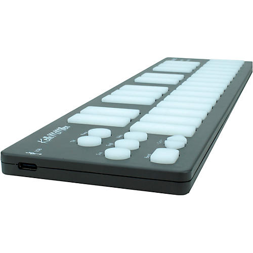 Keith McMillen K-Board-C Mini MPE MIDI Keyboard Controller Orchid - musicians--Friend