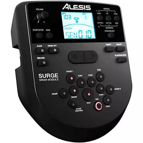 Alesis Surge Mesh Kit Special Edition - musicians--Friend