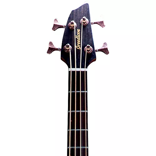 Breedlove Pursuit Exotic S CE Concerto Acoustic-Electric Bass Amber Burst - musicians--Friend