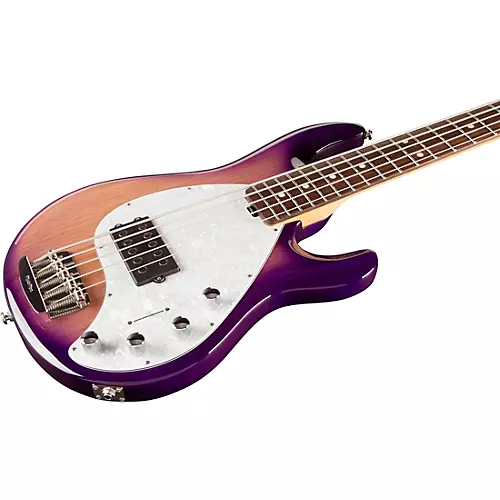 Ernie Ball Music Man StingRay5 Special H 5-String Electric Bass Guitar Black and Chrome - musicians--Friend