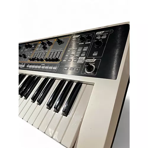 Used Roland GAIA - musicians--Friend