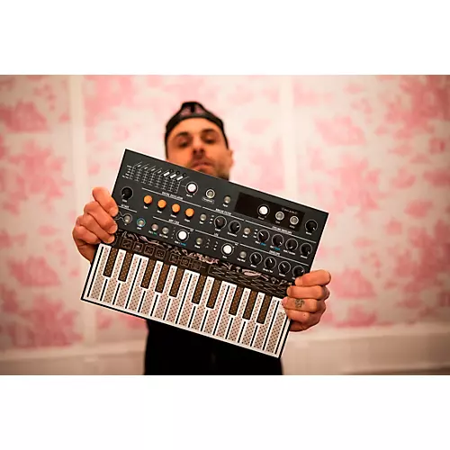 Arturia MicroFreak Hybrid Synthesizer - musicians--Friend