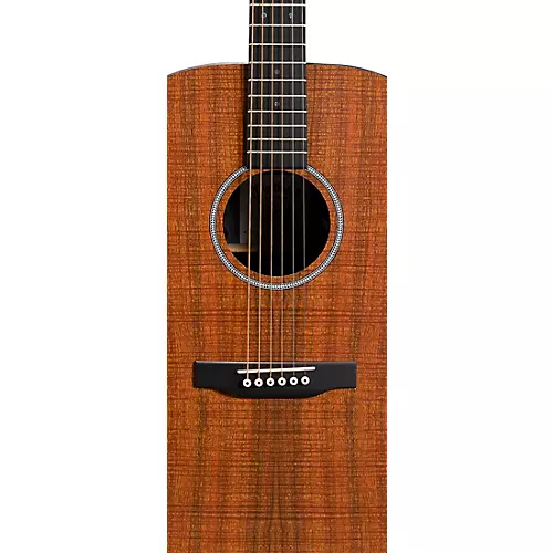 Martin DX1E X Series Dreadnought Acoustic-Electric Guitar Figured Mahogany - musicians--Friend