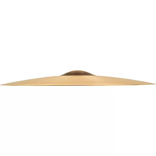 SABIAN AA Raw Bell Dry Ride Cymbal 21 in. - musicians--Friend