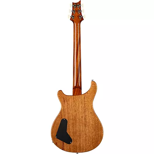 PRS Paul's Guitar Electric Guitar Red Tiger - musicians--Friend