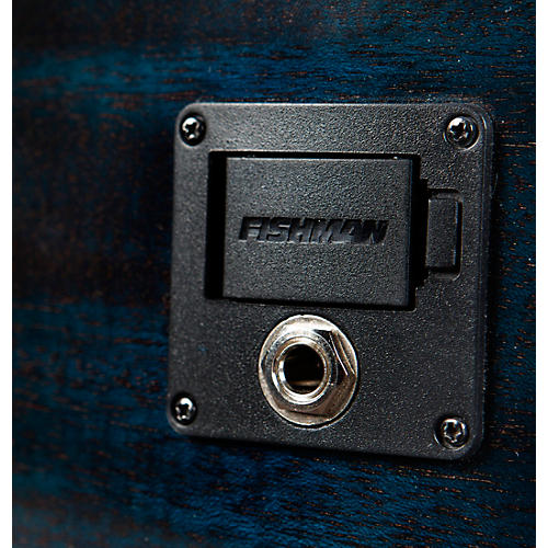 Breedlove Rainforest S African Mahogany Concert Acoustic-Electric Guitar Midnight Blue - musicians--Friend