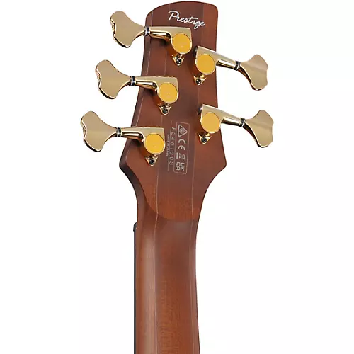 Ibanez Prestige SR6605 5-String Electric Bass Guitar Ghost Fleet Blue Burst - musicians--Friend