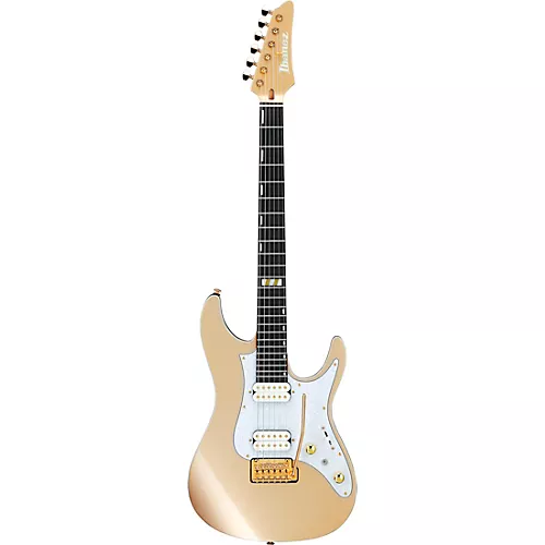 Ibanez Scott LePage Signature Electric Guitar - musicians--Friend