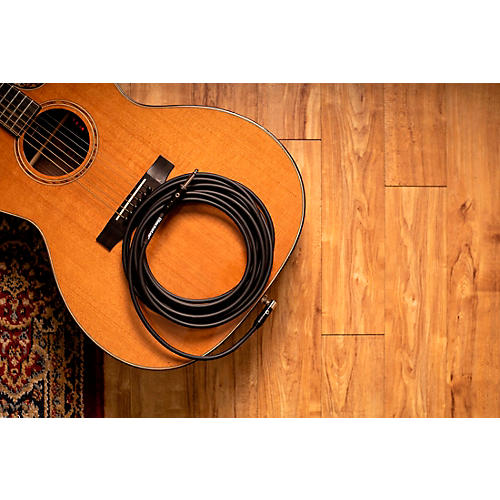 Blackstar Standard Straight to Angle Cable 10 ft. Black - musicians--Friend