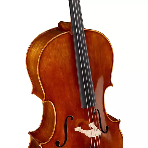 Ren Wei Shi Academy Series Cello Outfit 1/4 - musicians--Friend