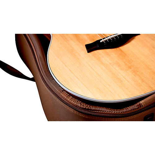 Taylor 214ce Grand Auditorium Acoustic-Electric Guitar Natural - musicians--Friend