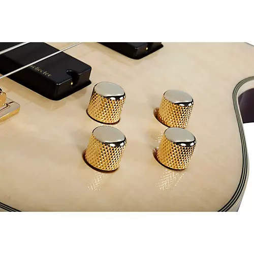 Schecter Guitar Research Omen Extreme-5 Electric Bass Gloss Natural - musicians--Friend