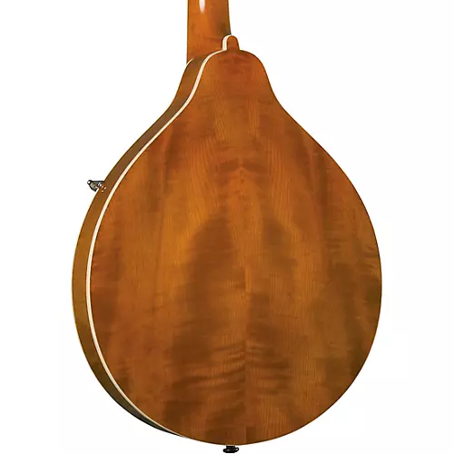 Kentucky KM-272 Deluxe Oval Hole A-Style Mandolin Transparent Amber - musicians--Friend