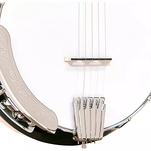 Gold Tone CC-100R Resonator Banjo - musicians--Friend