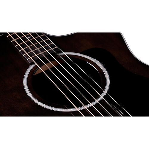 Taylor 214ce Special-Edition Grand Auditorium Acoustic-Electric Guitar Trans Grey - musicians--Friend