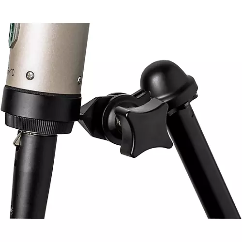Royer R-10 Ribbon Microphone - musicians--Friend