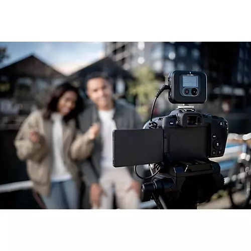 Shure MoveMic Receiver - musicians--Friend